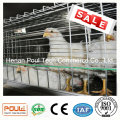 Poultry Farm Broiler Poulet Cage Viande Cage de poulet